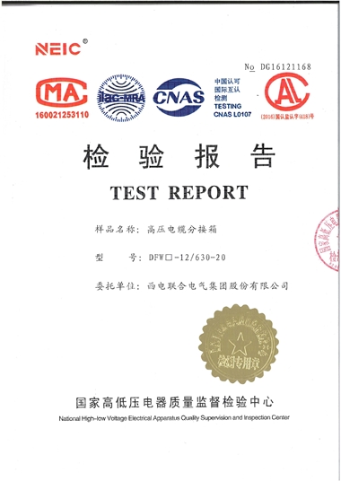 DFW-12 高壓電纜分接箱（檢驗(yàn)報(bào)告）