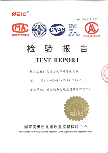 XGN-12/1250A 環(huán)網(wǎng)開關(guān)設(shè)備（檢驗(yàn)報(bào)告）